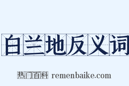 白兰地反义词是什么意思的图片